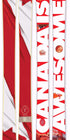 The Allplay "CANADA IS AWESOME" Limited Edition Ski Graphic Image