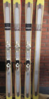 The Masterblaster "PROTOTYPE" Limited Edition Ski Graphic Image